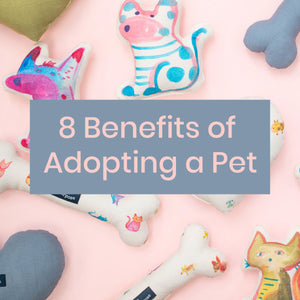 8 Benefits of Adopting a Pet