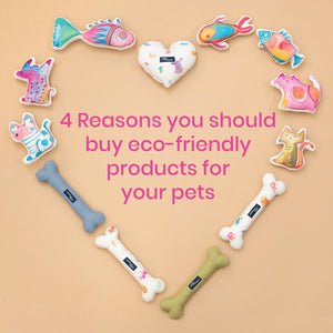 4 Reasons you should buy eco-friendly products for your pets