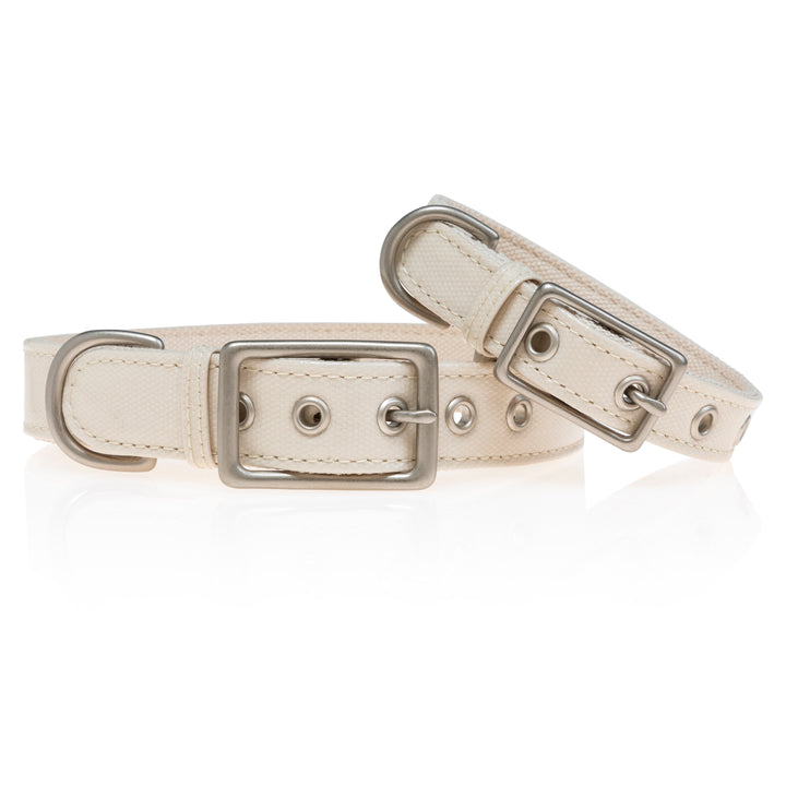 Crystal Canvas Collar | Cream