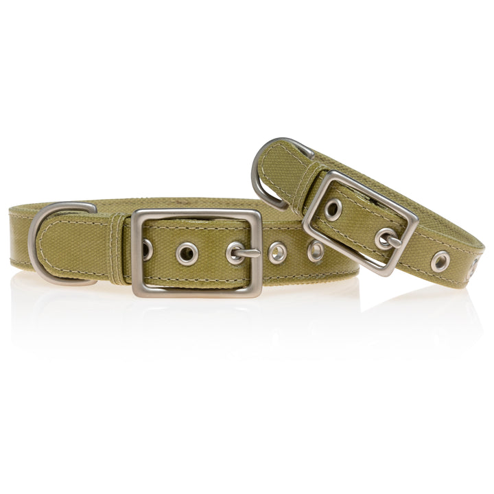 Crystal Canvas Collar | Olive