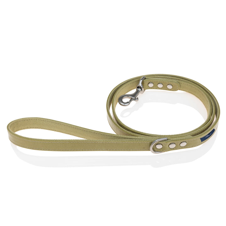 Crystal Canvas Leash | Olive