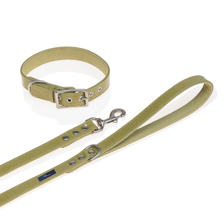 Crystal Canvas Leash + Collar Set | Olive